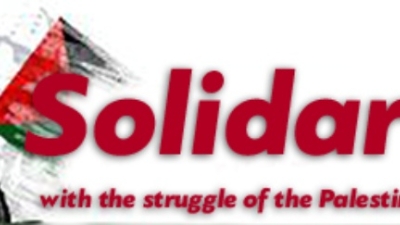 334061.jpg_1568818021