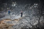Über die katastrophalen Brände
