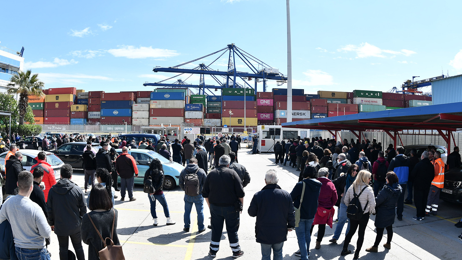 cosco-apergia-05
