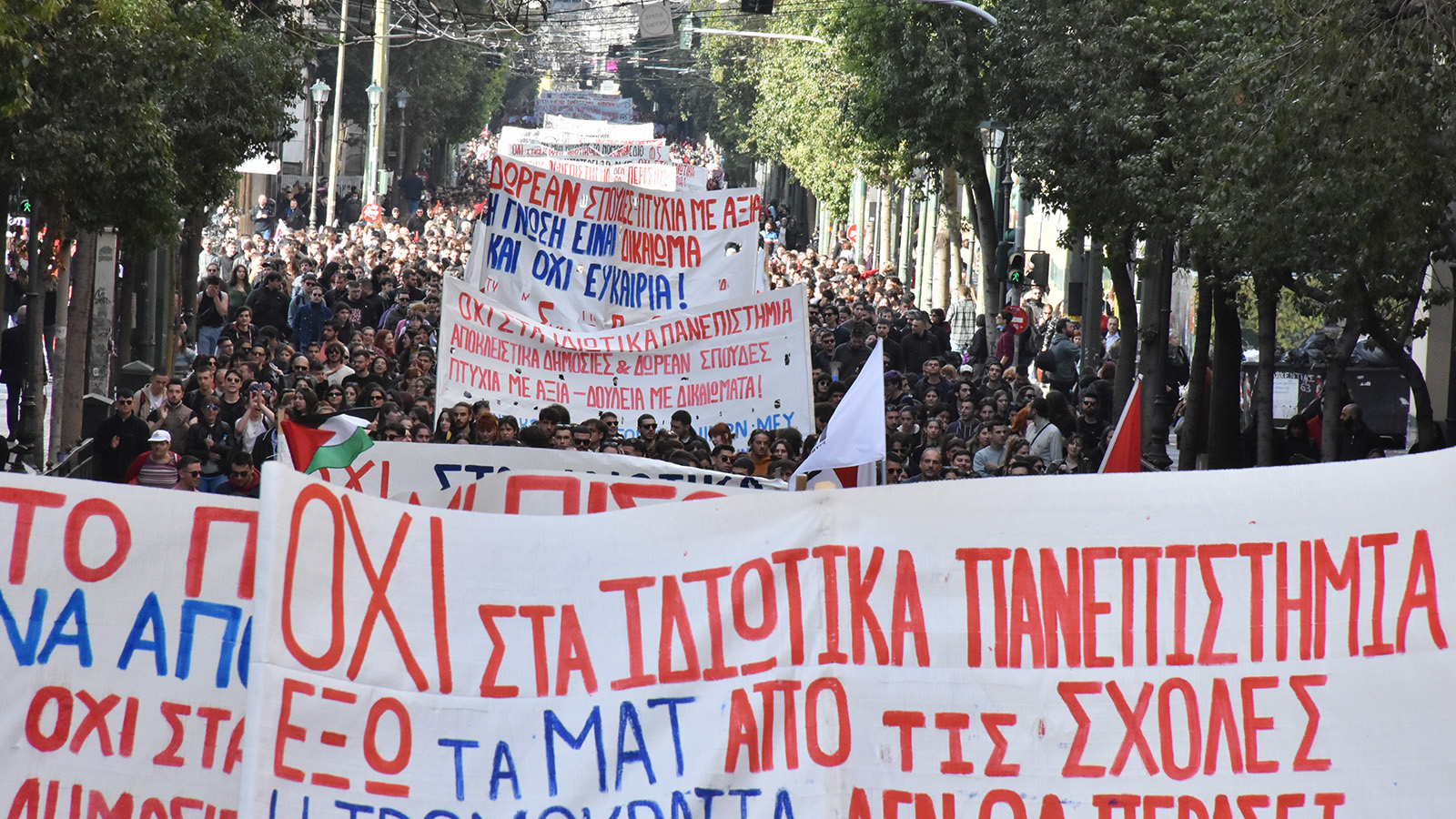 fitites_paneladiko_40