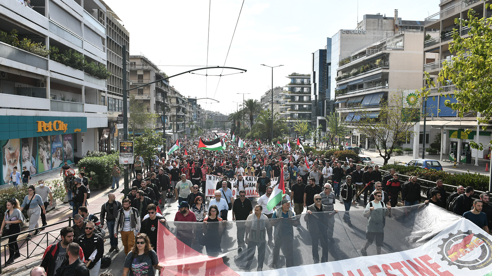 kinhtopoihsh-palaistinh-80