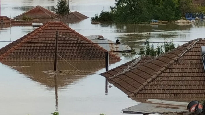 palamas_karditsas-34