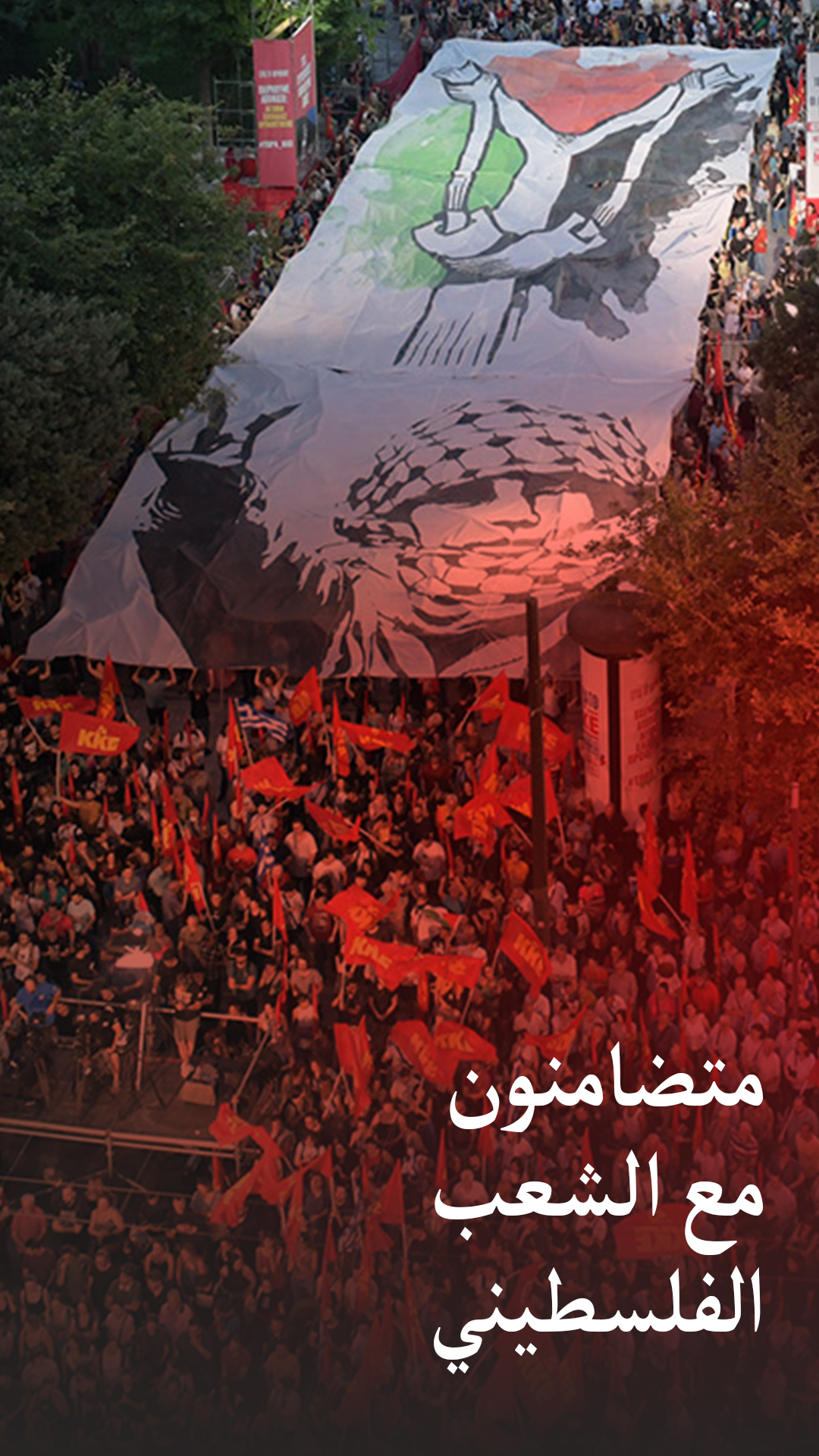 solidarity_palestineAr1