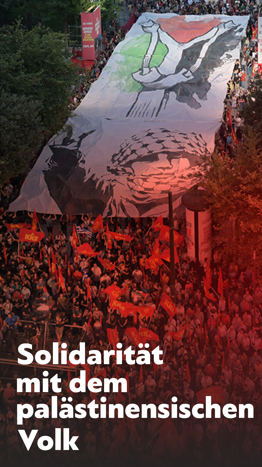 solidarity_palestineDe1