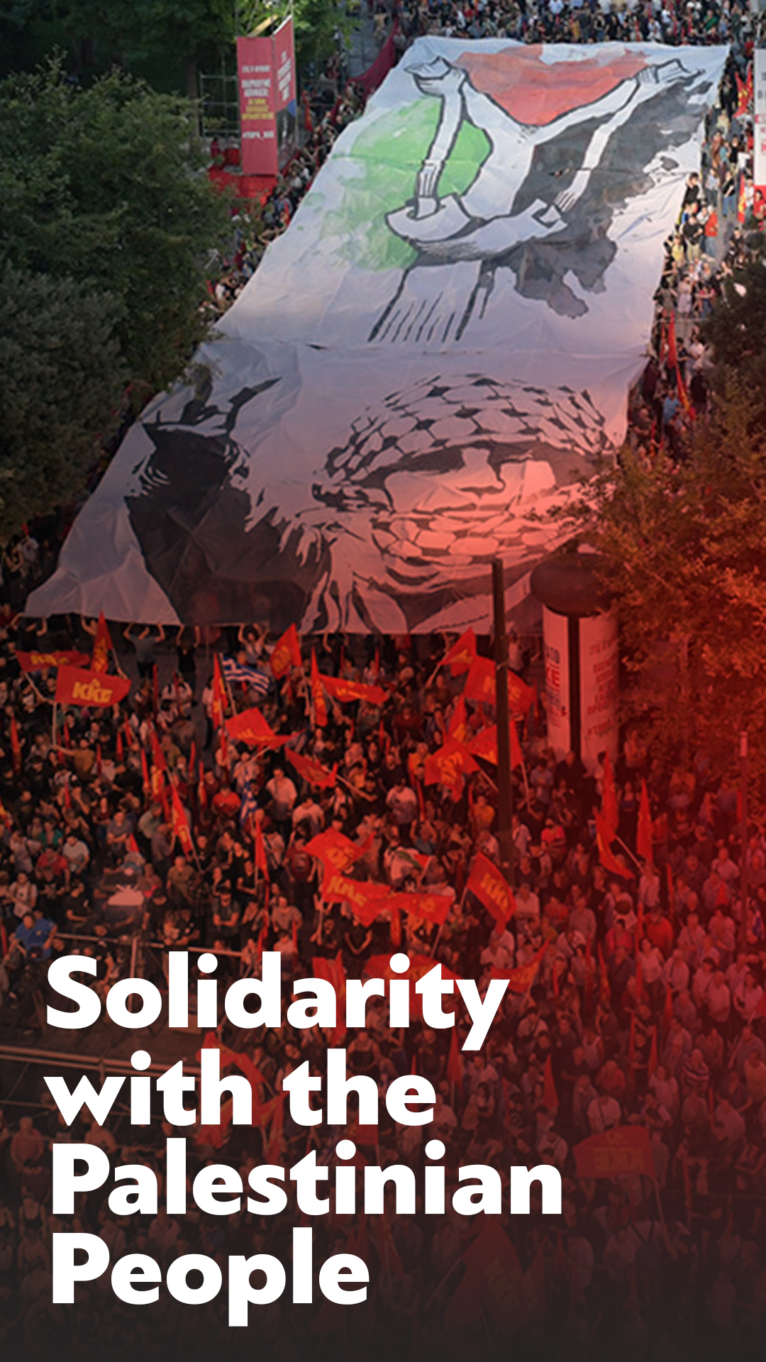 solidarity_palestineEn1