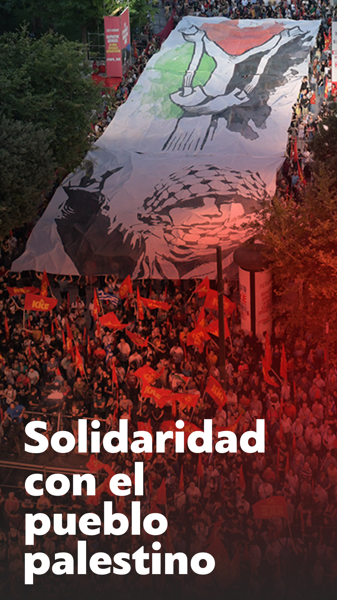 solidarity_palestineEs1