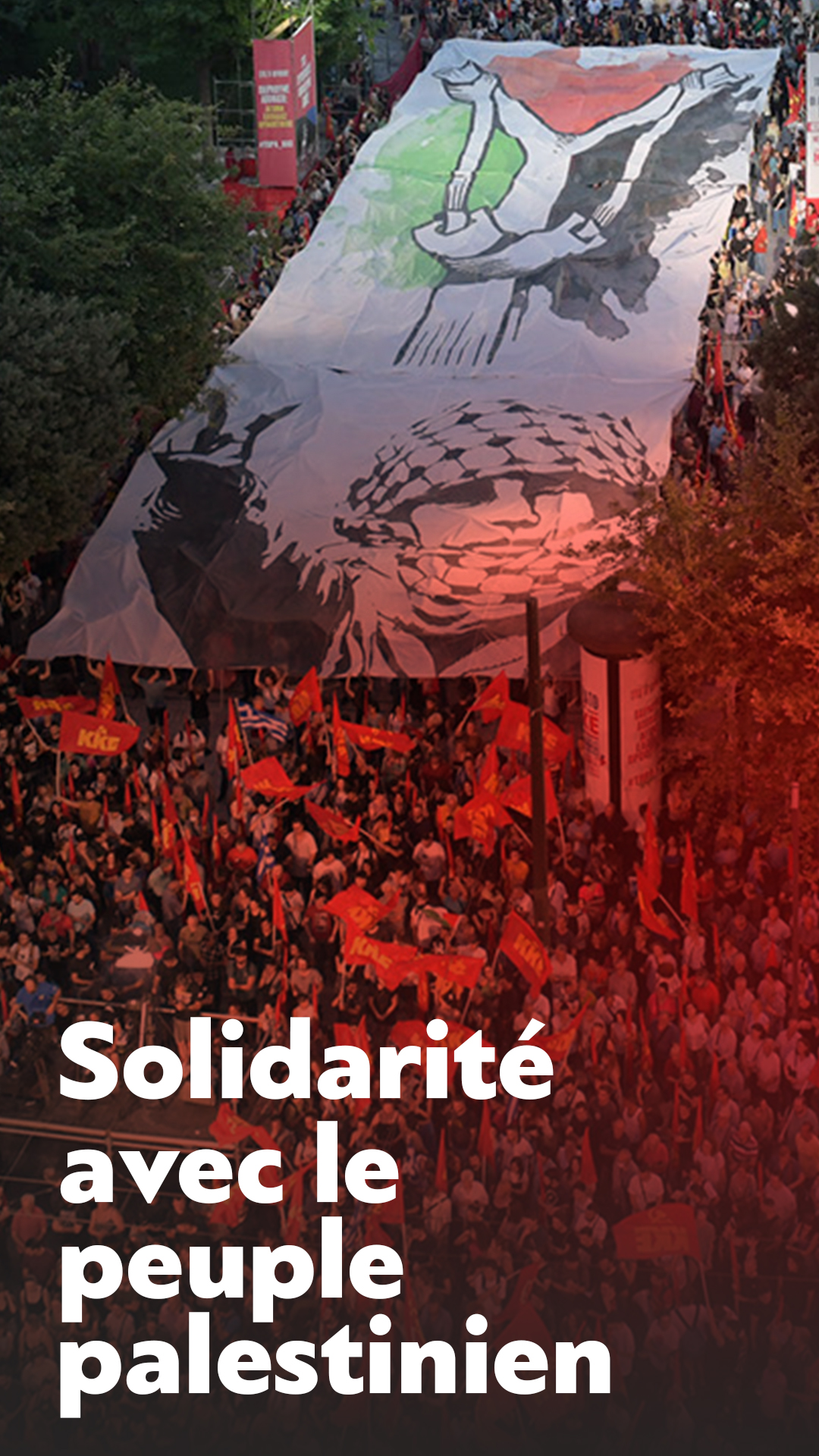 solidarity_palestineFr1