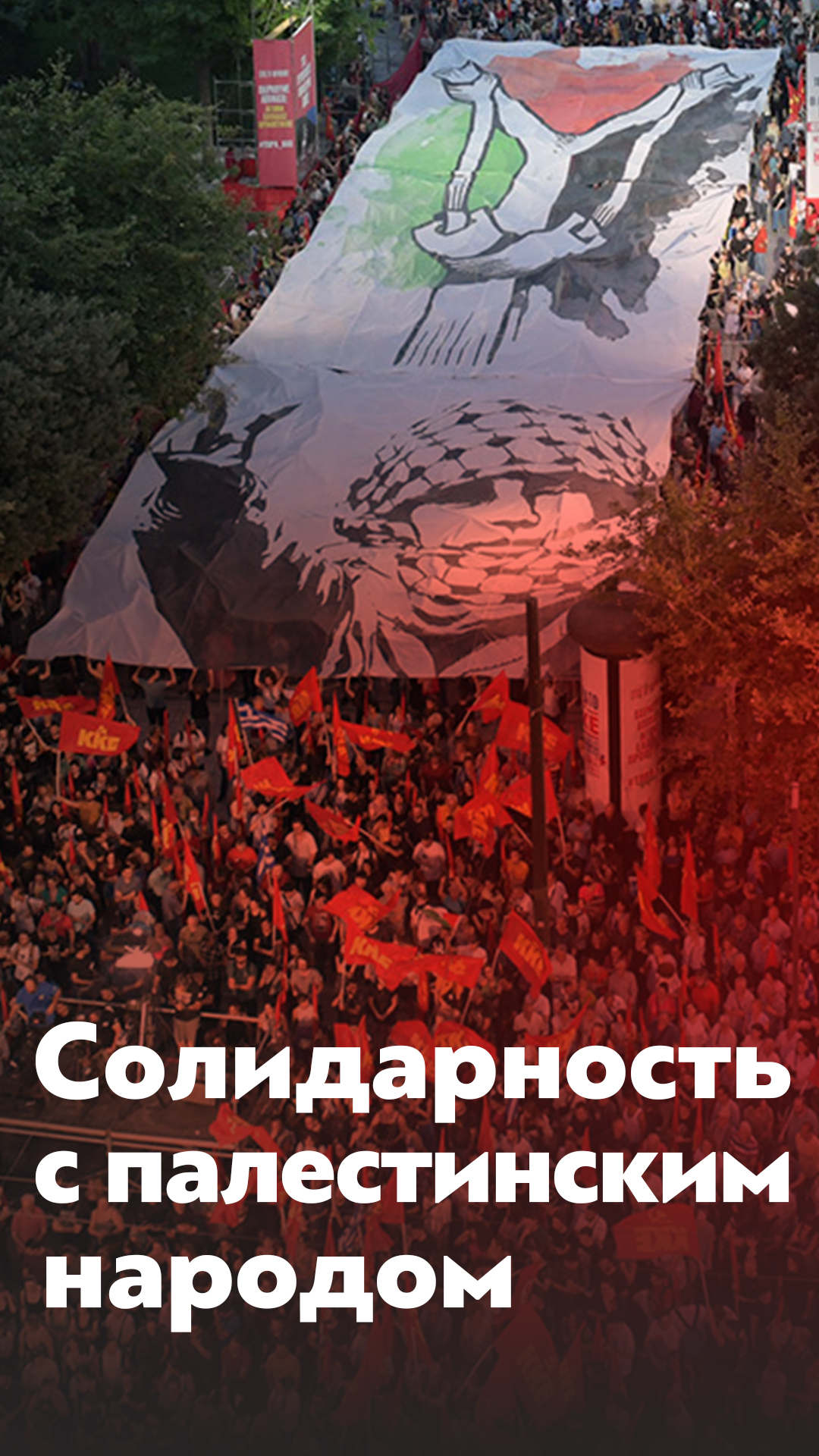 solidarity_palestineRu1