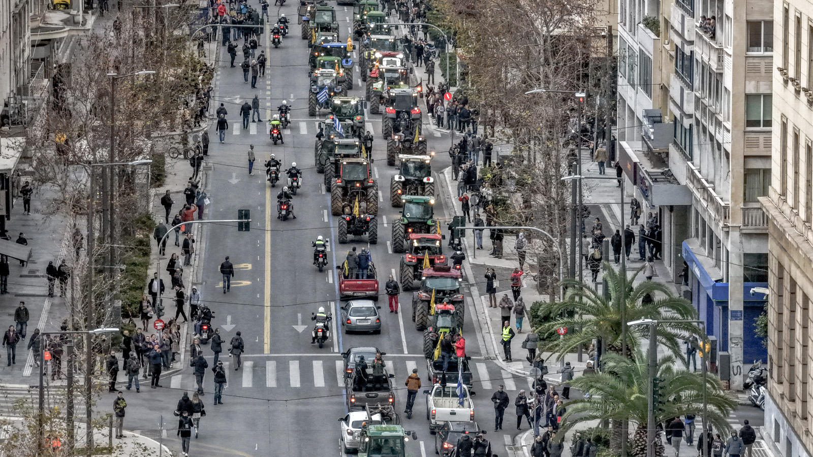 agrotes-athina-49